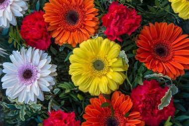 renkli papatyalar demet