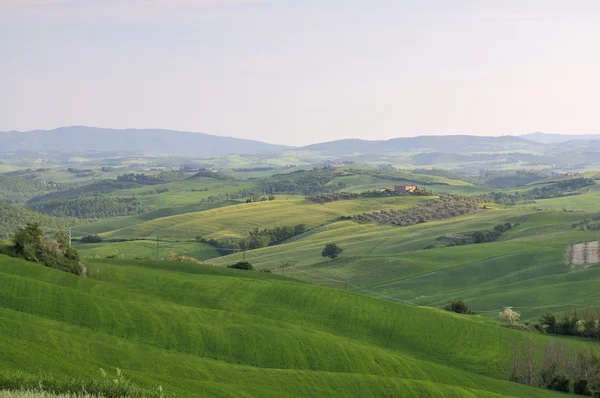 Vista sul paesaggio delle Crete — Foto Stock