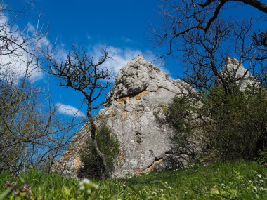 Yalnız kaya orman ve mavi gökyüzü