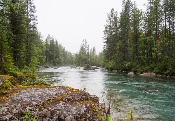 Гірській річці з кришталево чистою водою в тумані — стокове фото