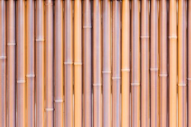 Dikey kuru bambu duvar doku.