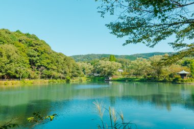 Görkemli zümrüt dağ gölü.