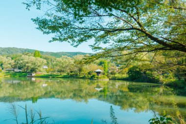 Görkemli zümrüt dağ gölü.