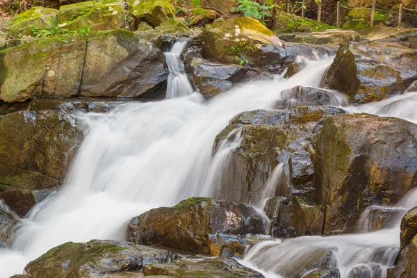Water falls over a jumble of moss-covered boulders in forest.