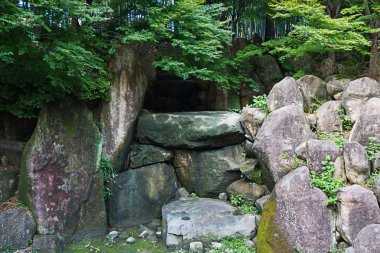 Vahşi doğada ağaçların altında büyük kayalar.