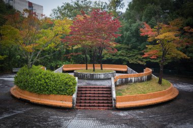 sonbahar Japon bahçe ıssız yerde. 