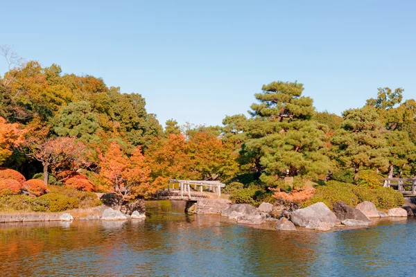 Japanilainen puutarha syksyllä / päivänvalossa . — kuvapankkivalokuva