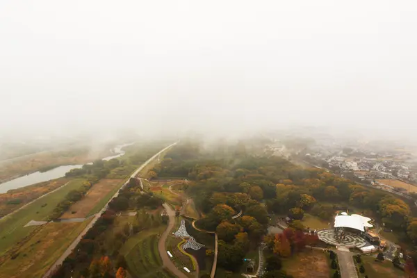 Platteland op vogel-eye view met ochtend mist. — Stockfoto