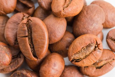 Bibel 01kahve çekirdekleri kazık.