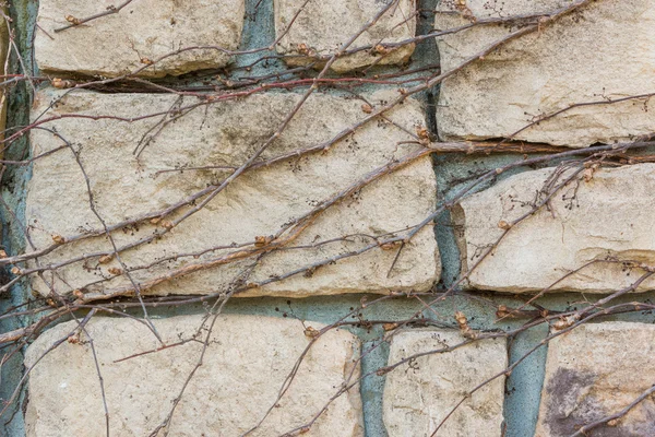 Eski taş tuğla duvar doku arka plan. — Stok fotoğraf