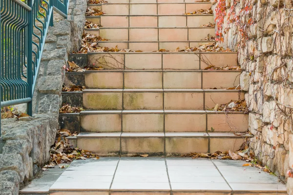 Tile stairs with dry leaves. — Stock Photo, Image