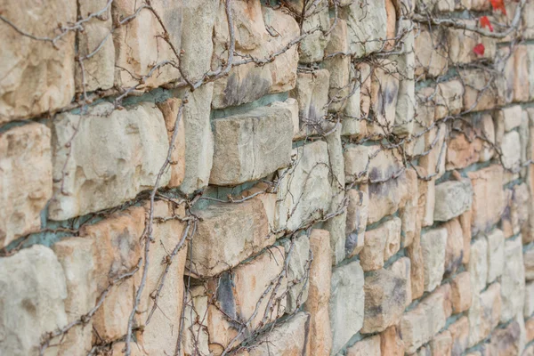 Старый камень кирпичная стена текстура фона . — стоковое фото