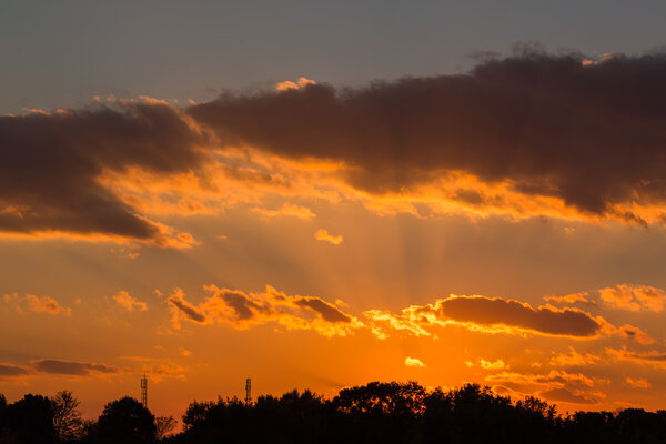 Bright sky orange and yellow colors sunset time with silhouette of wild.