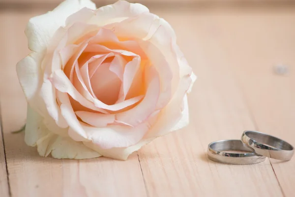 Pastellrosa Rose und Ring — Stockfoto