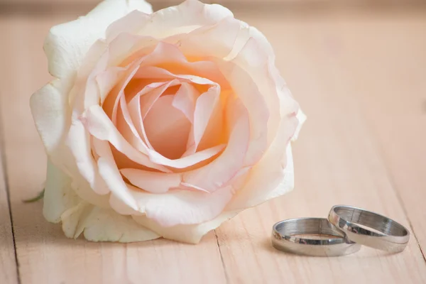 Pastellrosa Rose und Ring — Stockfoto