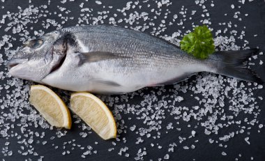 taze çiğ dorado balık baharat ve otlar üzerinde siyah arka plan, üstten görünüm