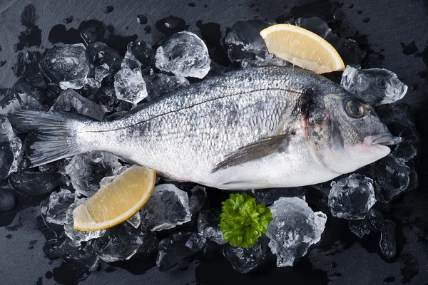 taze çiğ dorado balık baharat ve otlar üzerinde siyah arka plan, üstten görünüm