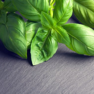 taze otlar Üstten Görünüm