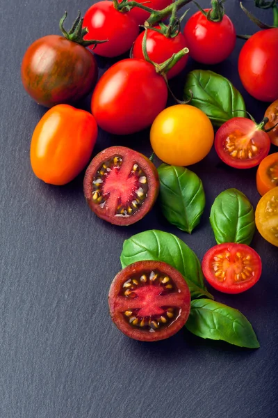 Tomates cereja. Tomates cereja em videira — Fotografia de Stock