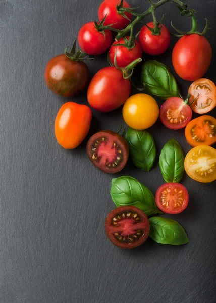 Tomates cereja. Tomates cereja em videira — Fotografia de Stock