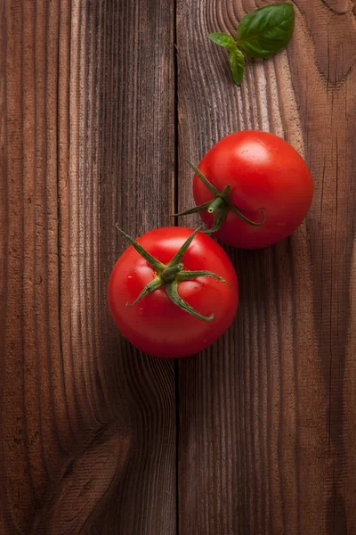 Вишневі помідори. Вишневі помідори на лозі — стокове фото