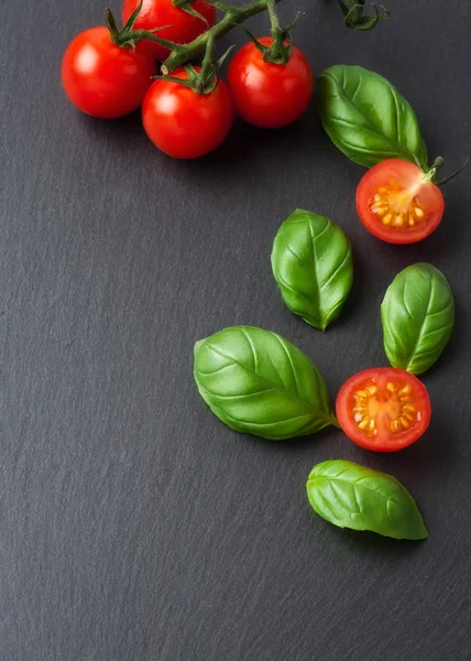 Tomates cereja. Tomates cereja em videira — Fotografia de Stock