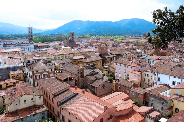 Lucca, Toskana, İtalya