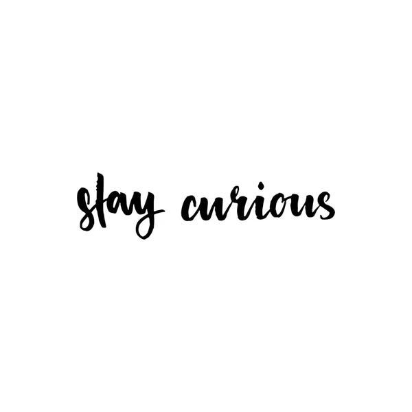 Stay curious inspirational lettering design. — Stock Vector