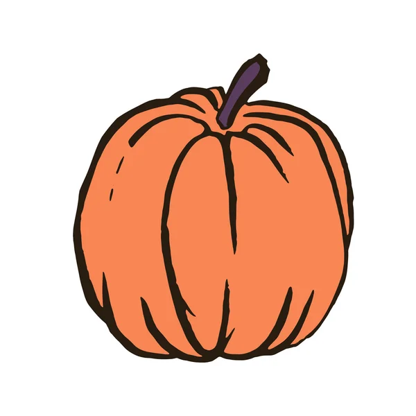 Vector illustration Outline hand drawn sketch of pumpkin — Stock Vector
