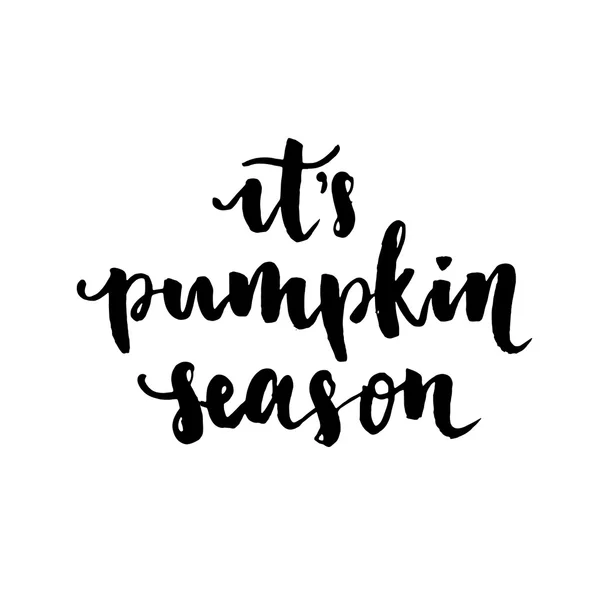 Its pumpkin season hand lettering vector — Stock Vector