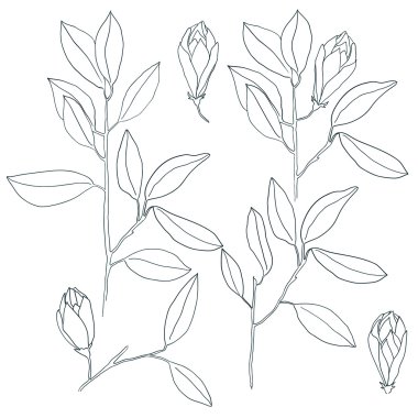 Vektör dalları ile yapraklar.