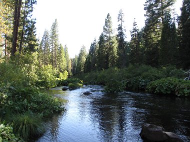 Lassen County 'deki Şapka Deresi