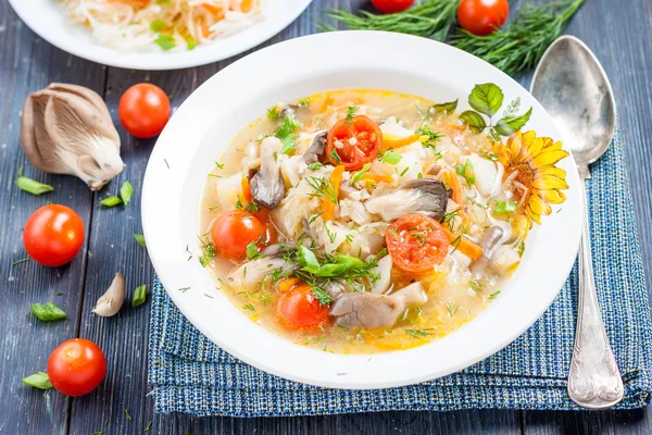Sup sauerkraut dengan jamur. Dapur Rusia — Stok Foto