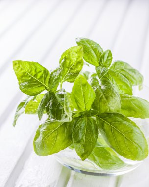 bir bardak su beyaz ahşap zemin üzerine yeşil fesleğen