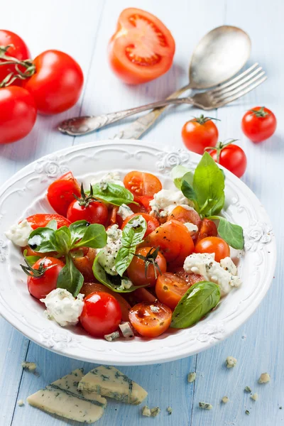 Салат с помидорами, базиликом и сыром пармезан — стоковое фото