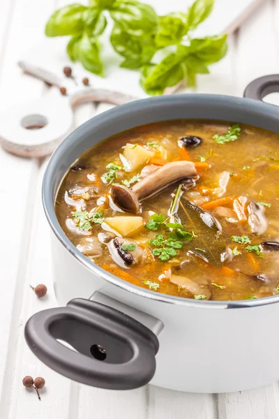 Sopa de champiñones con zanahorias, mijo y patatas — Foto de Stock