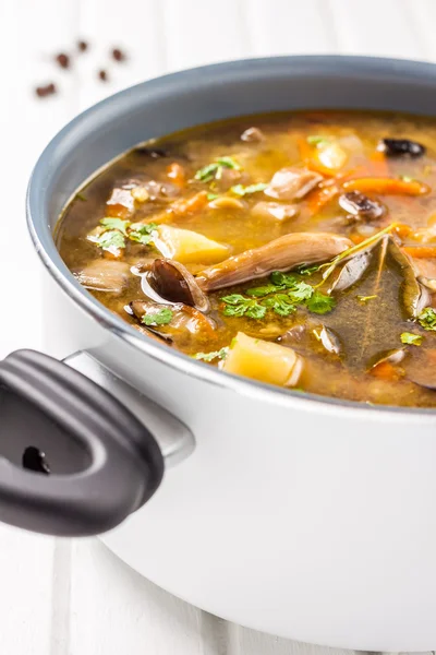 Paddestoel soep met aardappelen, wortelen en gierst — Stockfoto