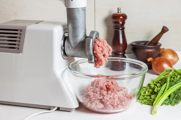 Home meat grinder — Stock Photo, Image