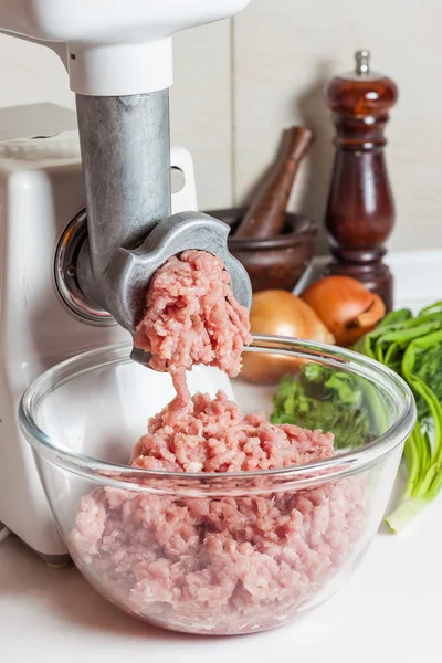 Home meat grinder — Stock Photo, Image