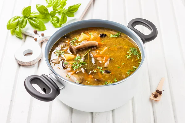 Mushroom soup with carrots, millet and potatoes — Stock Image Mushroom soup with carrots, millet and potatoes Royalty Free Stock Photos