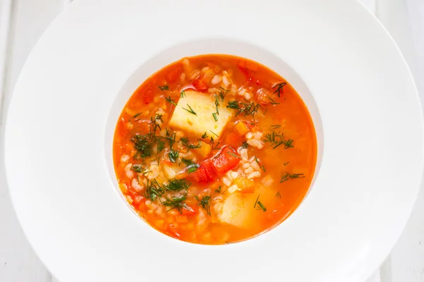 채식 야채 토마토 수프 — 스톡 사진