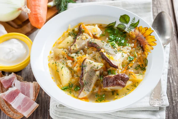 Cabbage soup with mushrooms — Stock Image Cabbage soup with mushrooms Royalty Free Stock Images