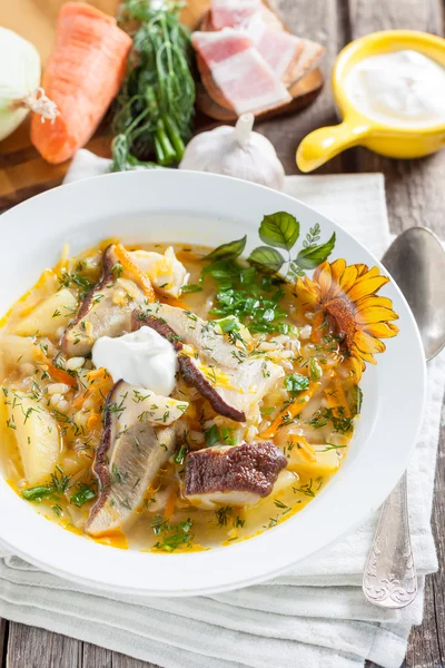 Cabbage soup with mushrooms — Stock Image Cabbage soup with mushrooms Royalty Free Stock Images
