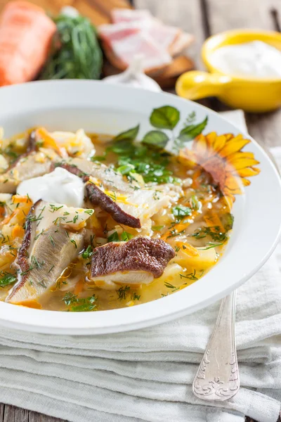 Cabbage soup with mushrooms — Stock Image Cabbage soup with mushrooms Stock Image