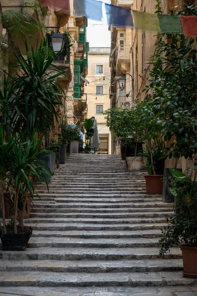 Valletta, Malta 'da dar bir sokakta bir adam yürüyor. Sokak binalar, bitkiler ve Galea 'nın Güzel Sanatlar Malzemeleri için bir tabela ile dolu..