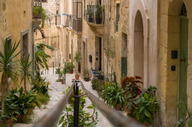 Malta 'da tarihi binalar ve yemyeşil alanlarla dolu büyüleyici, dar bir cadde. Basamaklar, kasabanın eşsiz mimarisini ve canlı bitki yaşamını keşfetmek için aşağı iniyor..