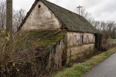 Terk edilmiş bir bina yosun ve sarmaşıklarla kaplıdır. Yıpranmış duvarları ve tahta pencereleri unutulmuş bir geçmişe işaret ediyor. Yavaş yavaş doğanın kucağına düşüyor..