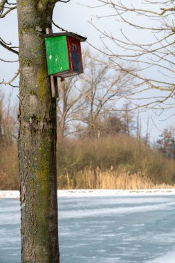 Renkli bir kuş evi donmuş bir gölün yakınındaki bir ağaç gövdesine monte edilir. Soğuk kış aylarında kuşlara barınak sağlamak için vardır..