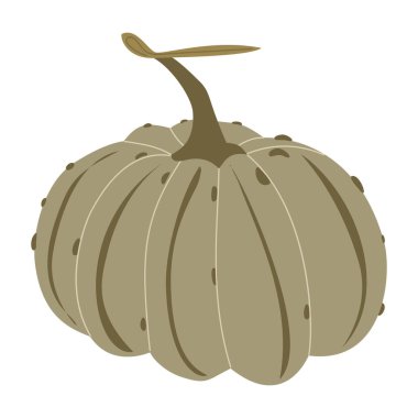 Autumn green cute pumpkin drawn in flat style for Thanksgiving Day. Autumn harvest for Halloween. Flat vector illustration isolated on white background.
