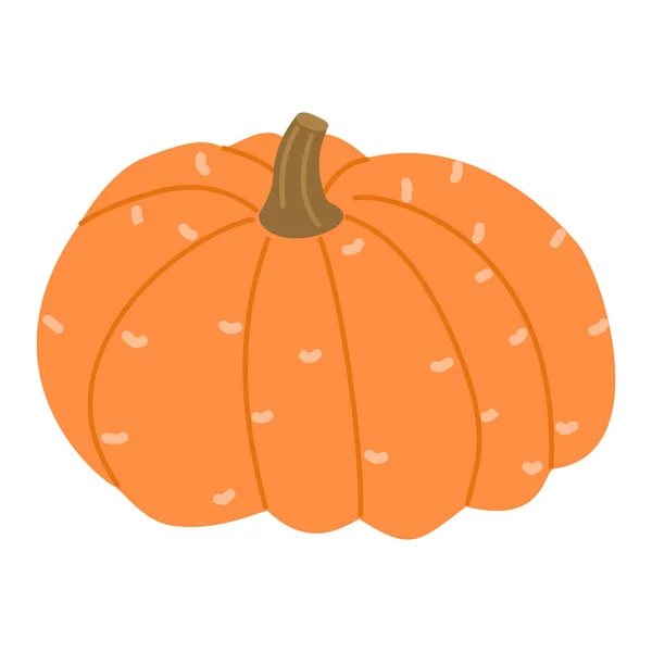 Yeşil saplı turuncu balkabağı. Bahar hasadı, Cadılar Bayramı sebzeleri, mevsimlik dekorasyon için. Beyaz arkaplanda izole edilmiş şirin balkabağının vektör çizimi..